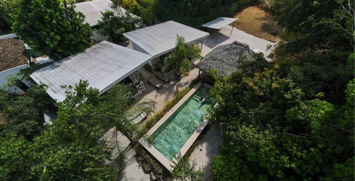 Antema Lodge Secteur Tamarindo, Piscine, Yoga, Gym, Jungle Et Paix Zewnętrze zdjęcie