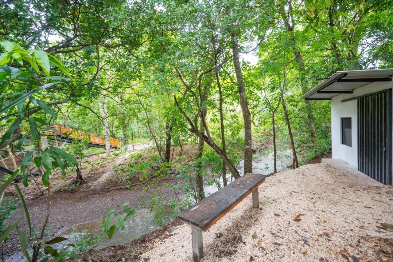 Antema Lodge Secteur Tamarindo, Piscine, Yoga, Gym, Jungle Et Paix Zewnętrze zdjęcie