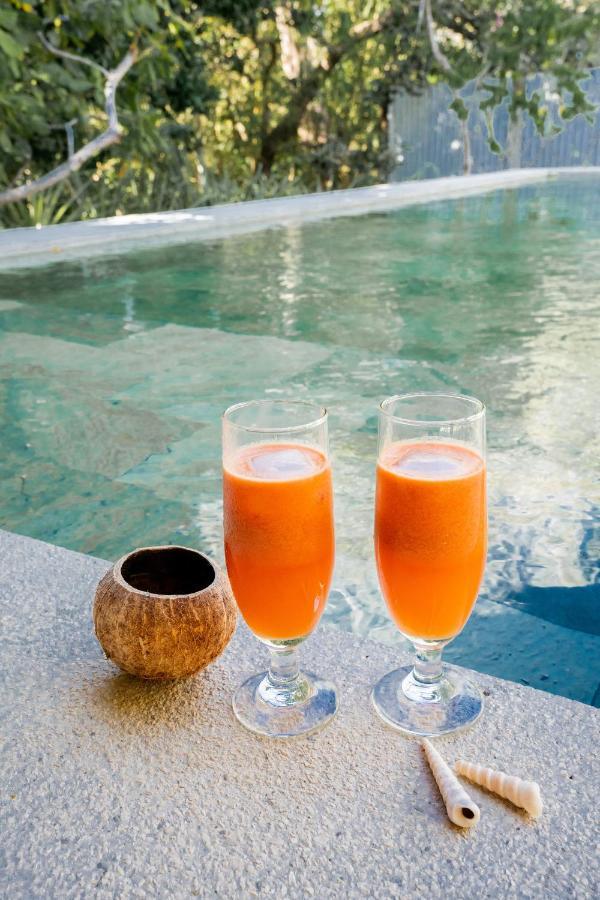 Antema Lodge Secteur Tamarindo, Piscine, Yoga, Gym, Jungle Et Paix Zewnętrze zdjęcie