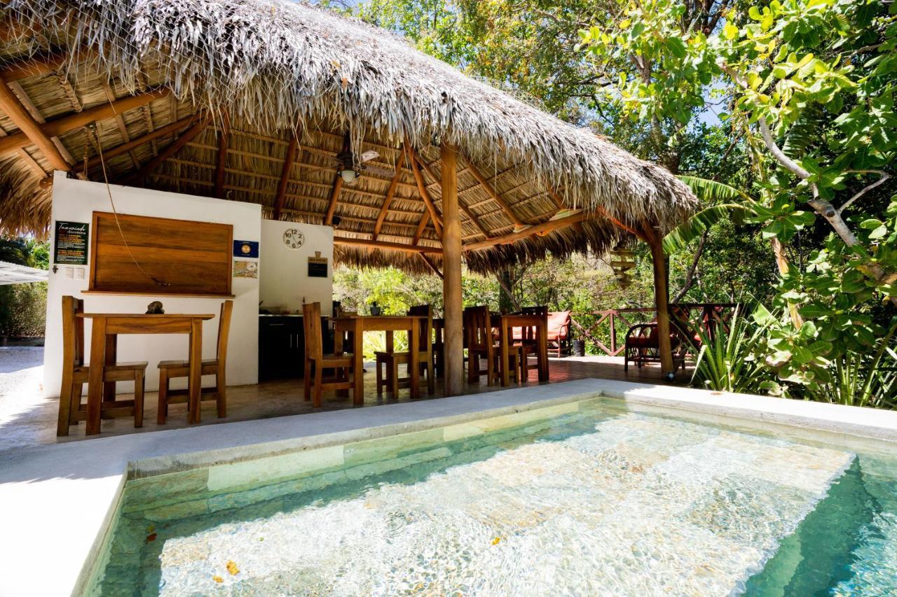 Antema Lodge Secteur Tamarindo, Piscine, Yoga, Gym, Jungle Et Paix Zewnętrze zdjęcie