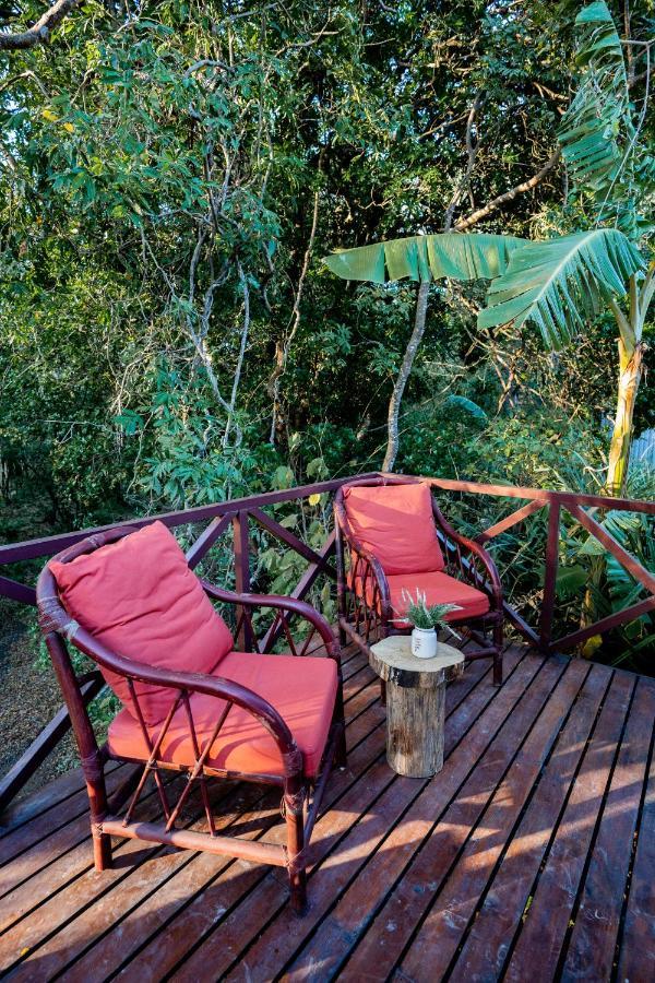 Antema Lodge Secteur Tamarindo, Piscine, Yoga, Gym, Jungle Et Paix Zewnętrze zdjęcie
