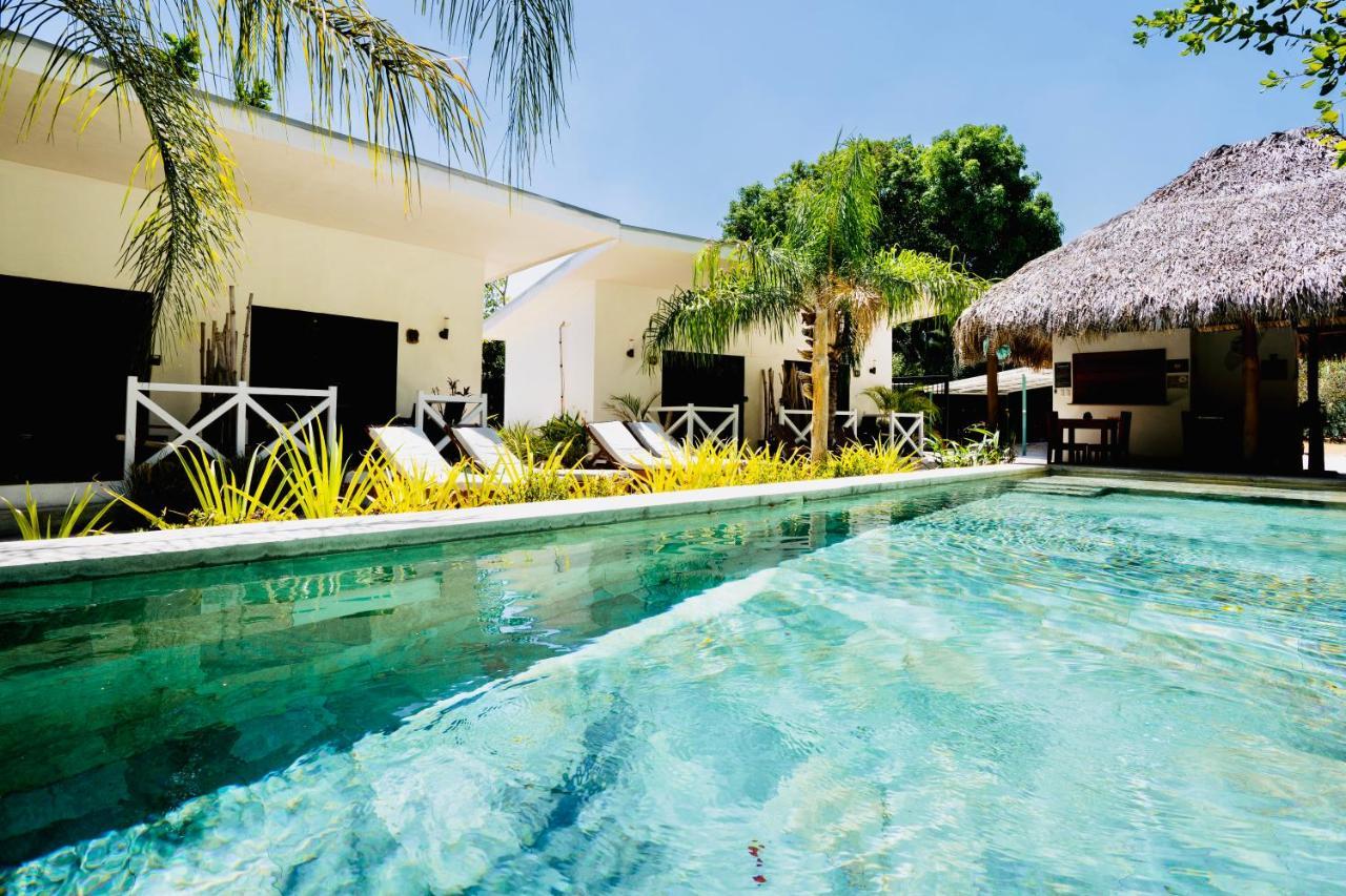 Antema Lodge Secteur Tamarindo, Piscine, Yoga, Gym, Jungle Et Paix Zewnętrze zdjęcie
